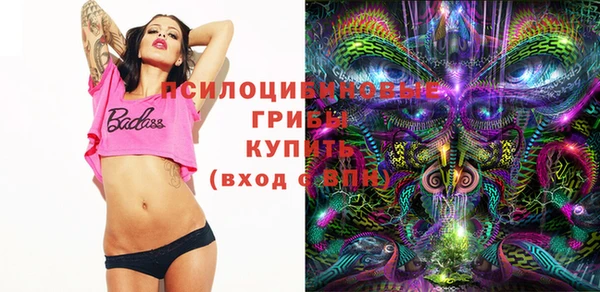 спайс Верея