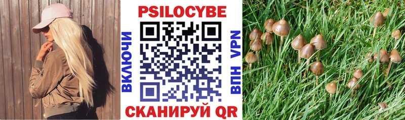 Псилоцибиновые грибы MAGIC MUSHROOMS  ссылка на мегу вход  Высоковск 
